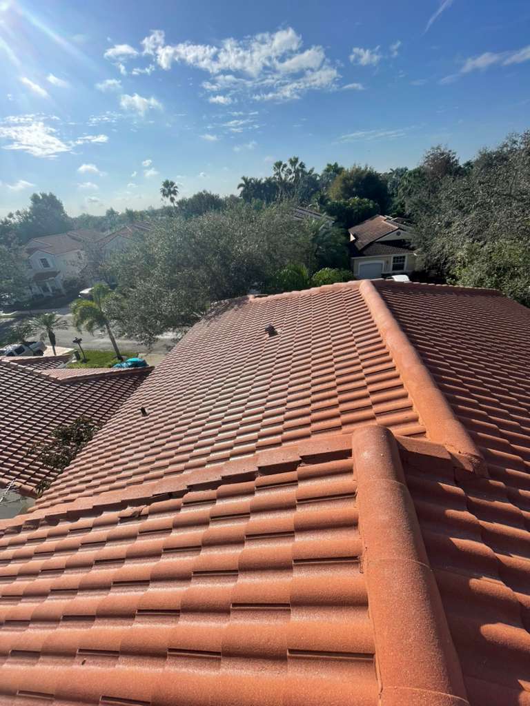 Landscaping Transformation - After professional lawn care and landscaping service by The Fresh Feel in South Florida